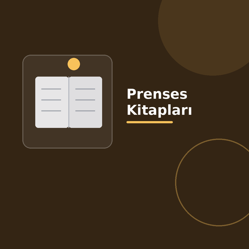 Üzerinde “Prenses Kitapları” yazan, koyu degrade zeminde açık kitap simgesi, modern geometrik şekiller ve kategoriye uygun vurgu detayı bulunan kare dijital yayıncılık görseli.