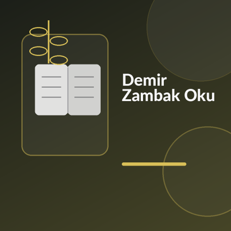 Üzerinde “Demir Zambak Oku” yazan, metal zambak, savaş uçağı izi, kitap sayfası ve iki zıt çizgi temalı modern kare kitap görseli.