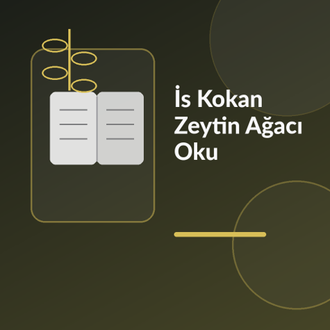 Üzerinde “İs Kokan Zeytin Ağacı Oku” yazan, zeytin ağacı, ince duman/is, yağmur ve asker silueti temalı modern kare kitap görseli.