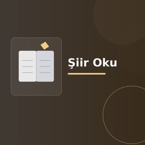 Üzerinde “Şiir Oku” yazan, koyu degrade zeminde stilize açık kitap, sayfa çizgileri ve modern geometrik şekiller bulunan dijital yayıncılık görseli.
