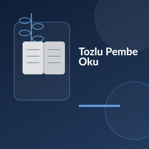 Üzerinde “Tozlu Pembe Oku” yazan, soluk pembe çiçek, toz parçacıkları, pencere ışığı ve iki siluet temalı modern kare kitap görseli.